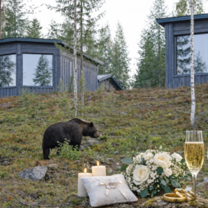 Honeymoon with Bears - Luxury Bear Cabin