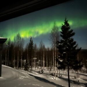 Luxury Arctic Wildlife Experience (March)