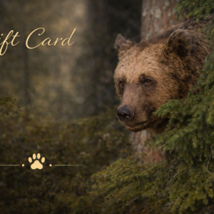 Gift Card – Bear Experience | Luxury Bear Cabin